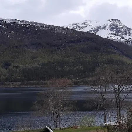 Alfotevegen 5 * Ålfoten
