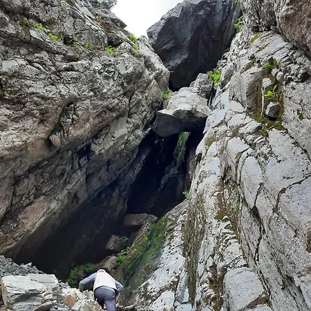Alfotevegen 5 * Ålfoten