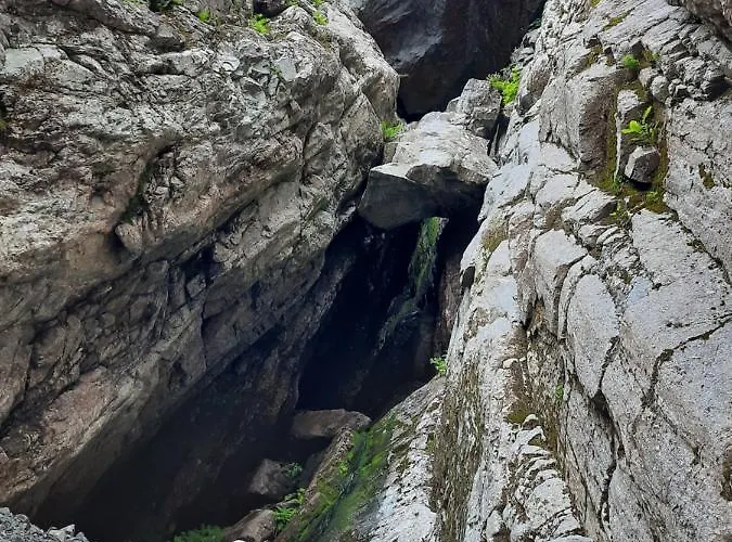 Alfotevegen 5 * Ålfoten